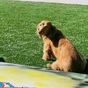 Meet your Posher, Julia